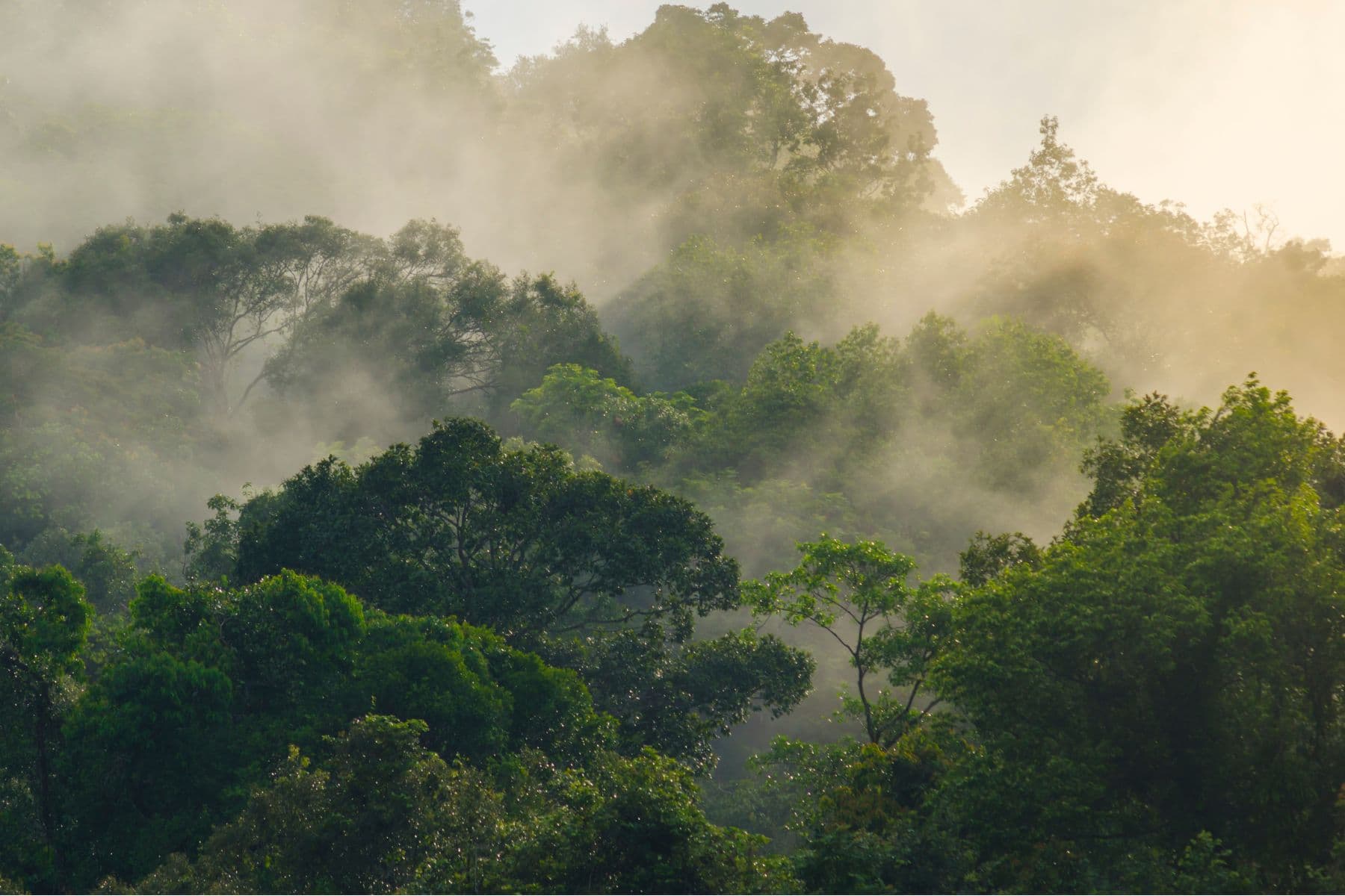 Sustainability as a Key to Growth and Customer Loyalty